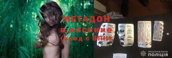 ГАЛЛЮЦИНОГЕННЫЕ ГРИБЫ Корсаков