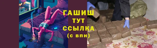 гидра Костерёво