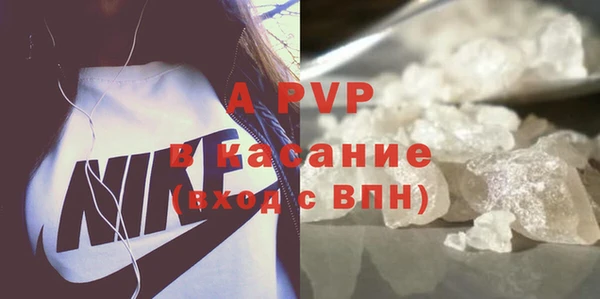ГАЛЛЮЦИНОГЕННЫЕ ГРИБЫ Корсаков