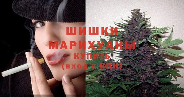 гидра Костерёво