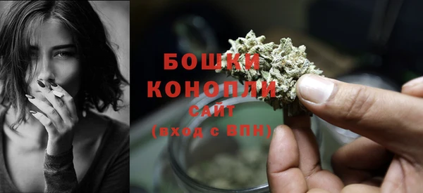 ГАЛЛЮЦИНОГЕННЫЕ ГРИБЫ Корсаков