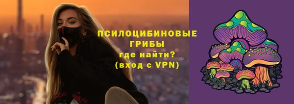 ГАЛЛЮЦИНОГЕННЫЕ ГРИБЫ Корсаков