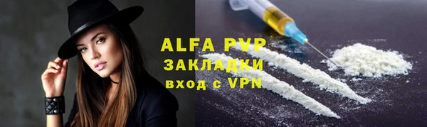 ГАЛЛЮЦИНОГЕННЫЕ ГРИБЫ Корсаков