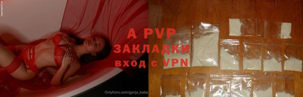 ГАЛЛЮЦИНОГЕННЫЕ ГРИБЫ Корсаков