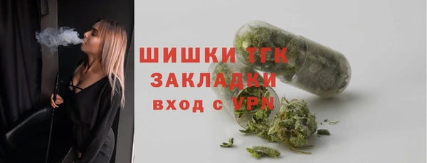 ГАЛЛЮЦИНОГЕННЫЕ ГРИБЫ Корсаков