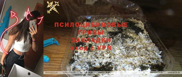 ГАЛЛЮЦИНОГЕННЫЕ ГРИБЫ Корсаков