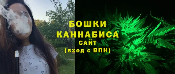 гидра Костерёво