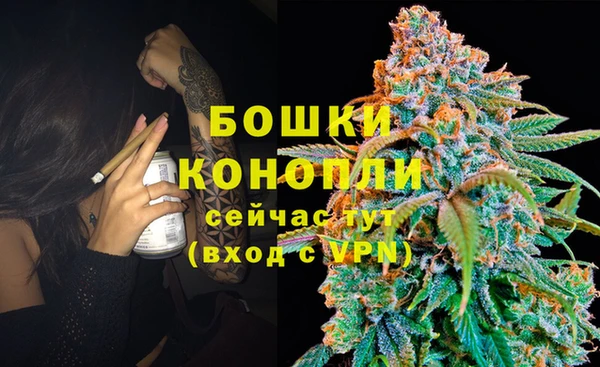 гидра Костерёво